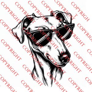 Cool Greyhound download